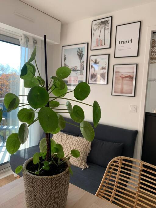 L'Appart 204, Superbe Appartement En Residence Вилле-сюр-Мер Экстерьер фото